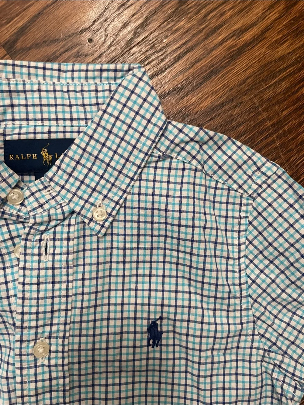 Polo by Ralph Lauren Green and Blue Check Button-Down Shirt